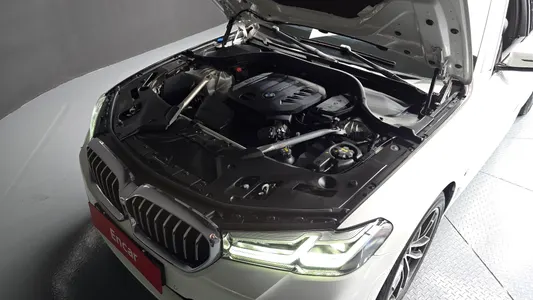 BMW 5 Series (G30) 523d M 2021 6
