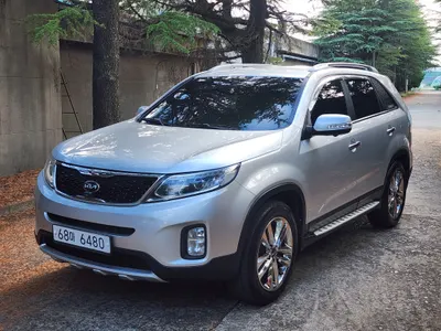 Kia R 2.0 2WD 2013