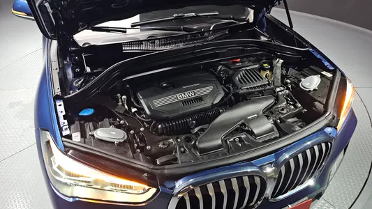BMW X1 (F48) xDrive 20i xLine 2021 6