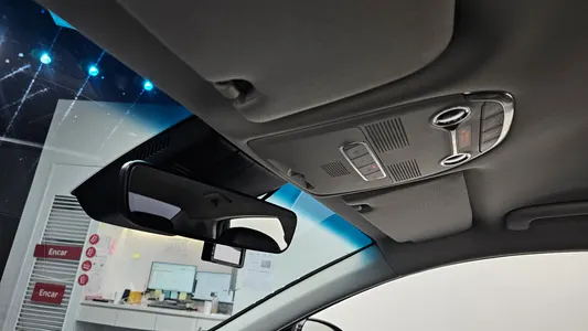 Hyundai IG 3.0 LPi () 2020 17
