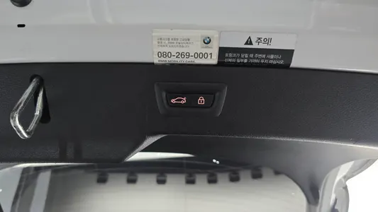 BMW X6 (F16) xDrive 30d 2017 20