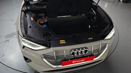 Audi e- 55 2020 5