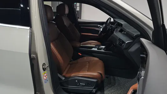 Audi e- 55 2020 11