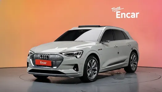 Audi e- 55 2020 20