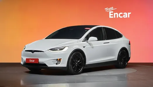 Tesla X 100D 2019