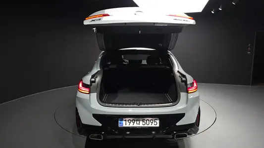 BMW X4 (G02) xDrive20i M 2023 20