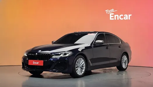 BMW 5 Series (G30) 520d xDrive 2020 20