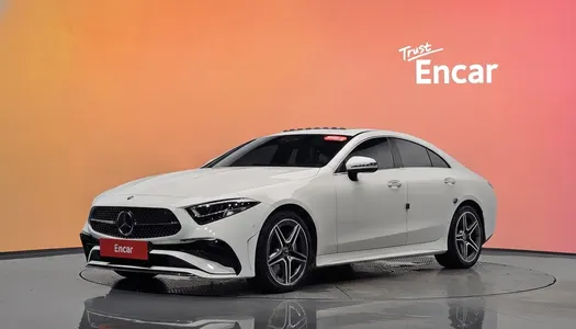 Mercedes-Benz CLS-Class C257 CLS300d 4MATIC 2022 20