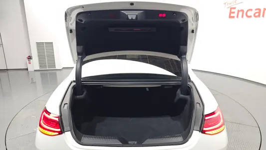 Mercedes-Benz CLS-Class C257 CLS300d 4MATIC 2022 33