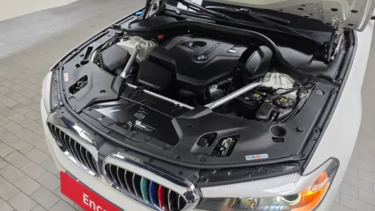 BMW 5 Series (G30) 520i 2019 5
