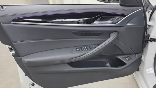 BMW 5 Series (G30) 520i 2019 24
