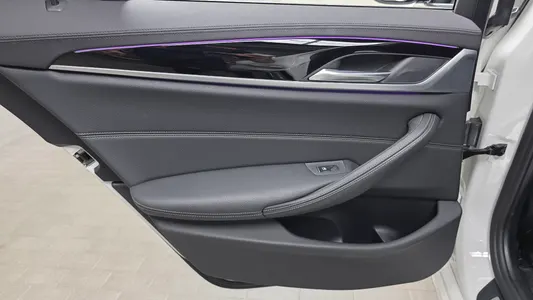 BMW 5 Series (G30) 520i 2019 25