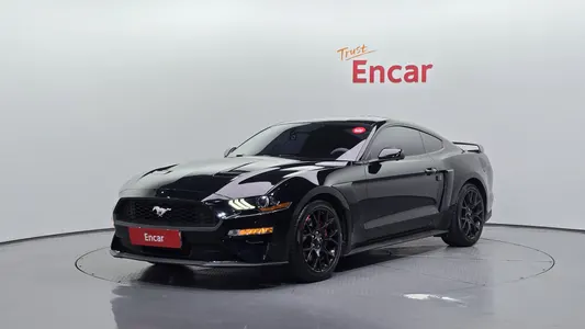 Ford 2019