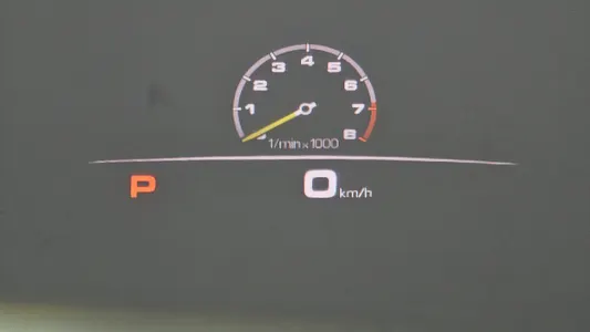 Porsche (PO536) 3.0 E- 2021 17