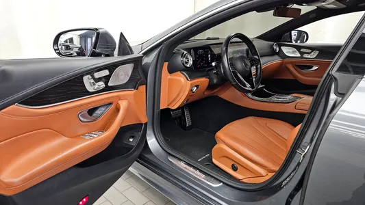 Mercedes-Benz CLS-Class C257 CLS300d 4MATIC 2022 9