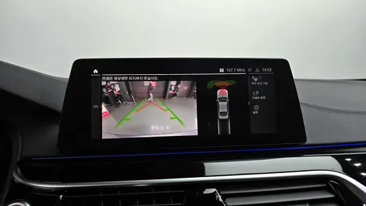 BMW 5 Series (G30) 520d xDrive 2020 14