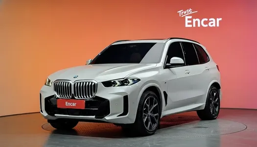 BMW X5 (G05) xDrive 40i M 2025 20