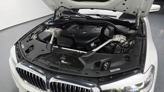 BMW 5 Series (G30) 520i 2019 6