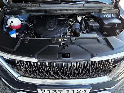 Kia Carnival 9 2021 17