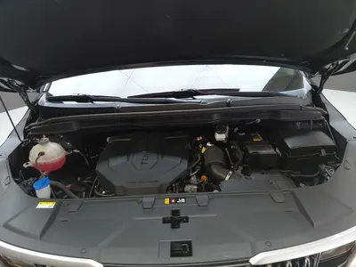 Kia Carnival 9 2023 6