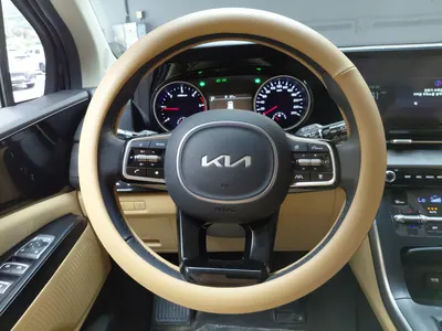 Kia Carnival 9 2023 13