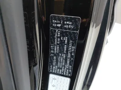 Kia Carnival 9 2023 20