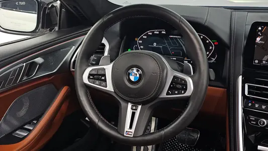BMW 8 Series (G15) M850i xDrive 2025 13