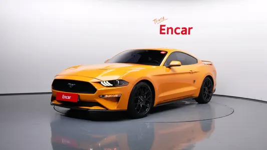 Ford 2019
