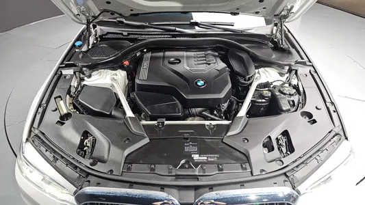 BMW 5 Series (G30) 530i 2020 5