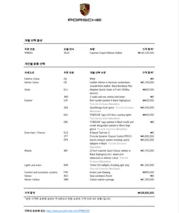 Porsche (PO536) 3.0 2023 31