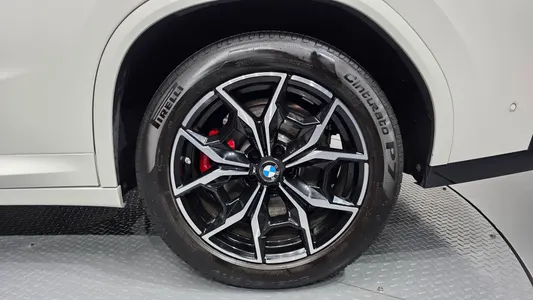 BMW X4 (G02) xDrive 20d M 2023 21