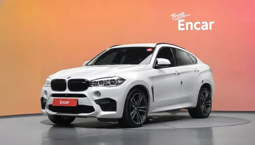 BMW X6M (F16) 4.4 2017 21