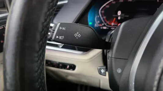 BMW X7 (G07) xDrive 30d M 2019 29