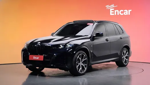 BMW X5 (G05) xDrive 30d M 2025 20