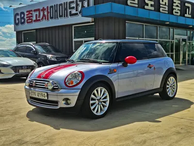 MINI 2010