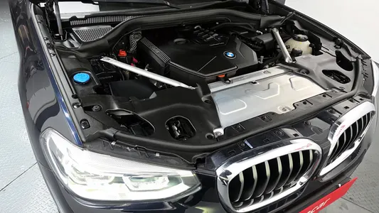 BMW X4 (G02) xDrive20i M X 2021 6