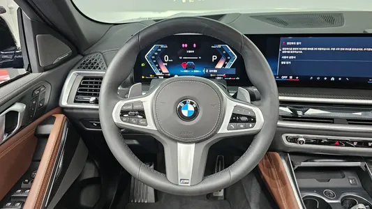 BMW X6 (G06) xDrive40i M 2025 13