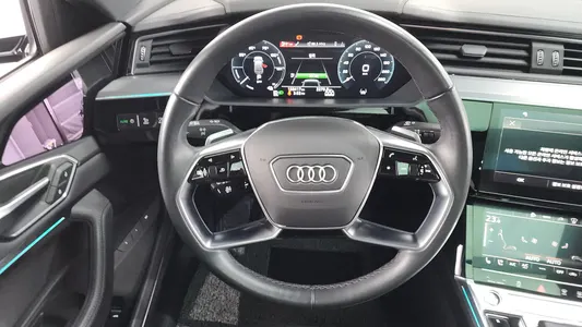 Audi e- 55 2021 13
