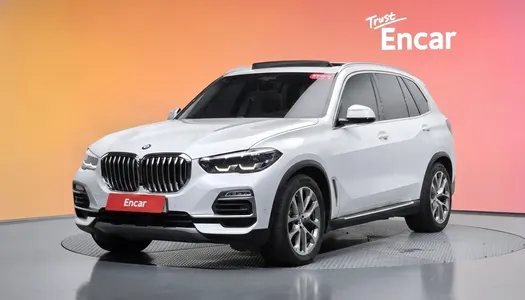 BMW X5 (G05) xDrive 30d xLine 2019 20