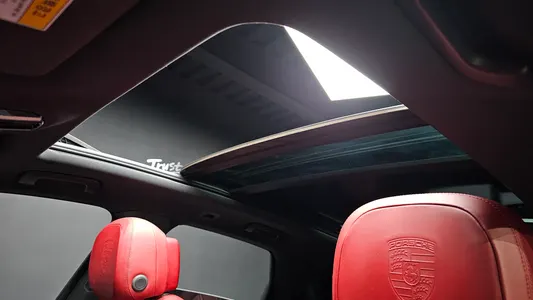 Porsche (PO536) 3.0 2019 17
