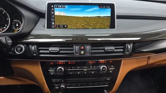 BMW X6 (F16) xDrive 30d 2018 12