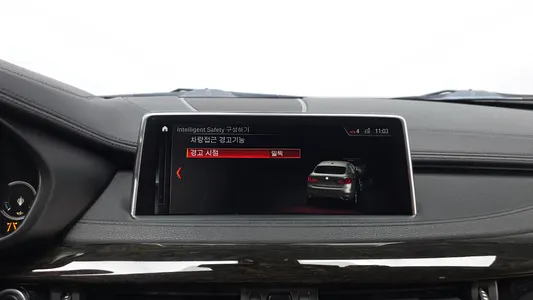 BMW X6 (F16) xDrive 30d 2018 32