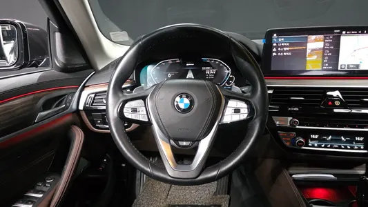 BMW 5 Series (G30) 530e 2020 13