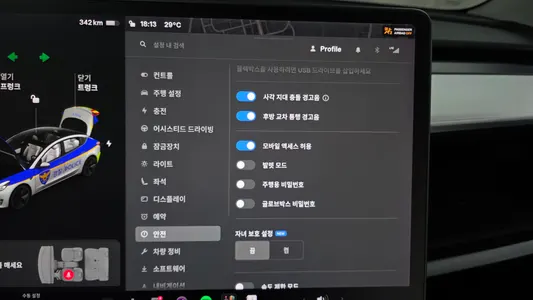 Tesla 3 AWD 2021 18