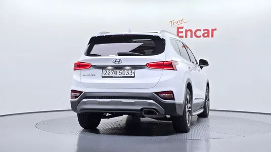 Hyundai TM 2.0T 2WD 2019 4