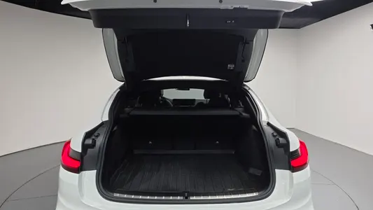 BMW X4 (G02) xDrive20i M X 2020 19