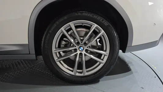 BMW X4 (G02) xDrive20i M X 2020 21