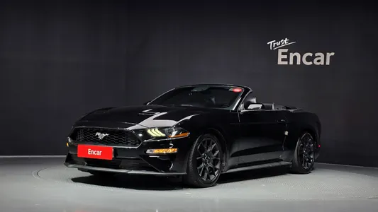 Ford 2019