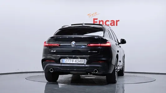 BMW X4 (G02) xDrive20d M 2018 4