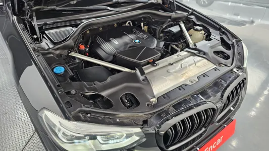 BMW X4 (G02) xDrive20d M 2018 6